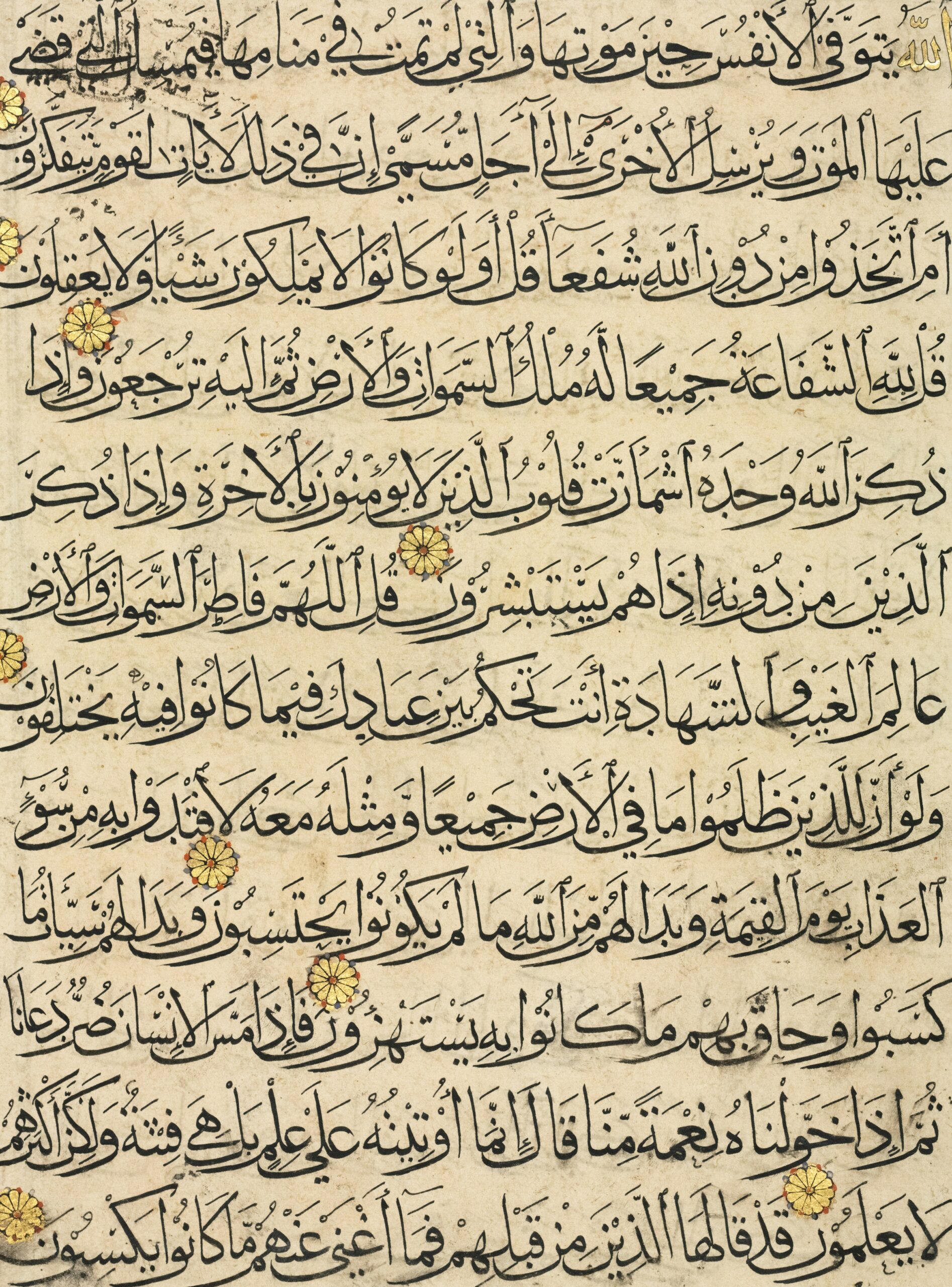 Conversational Arabic